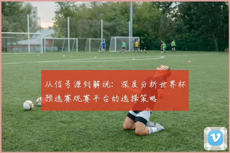从信号源到解说:深度分析世界杯预选赛观赛平台的选择策略