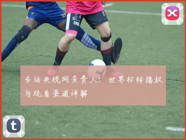 专访央视网负责人：世界杯转播权与观看渠道详解