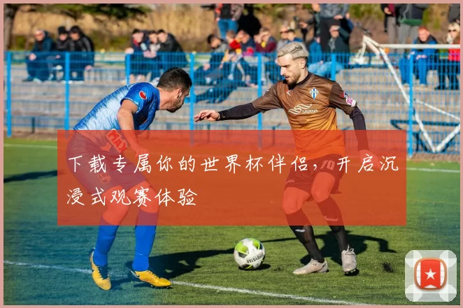 下载专属你的世界杯伴侣，开启沉浸式观赛体验