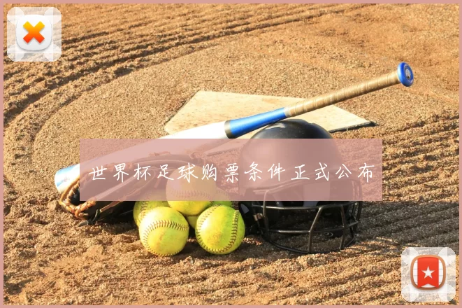 世界杯足球购票条件正式公布