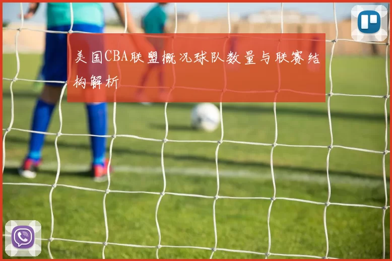 美国CBA联盟概况球队数量与联赛结构解析