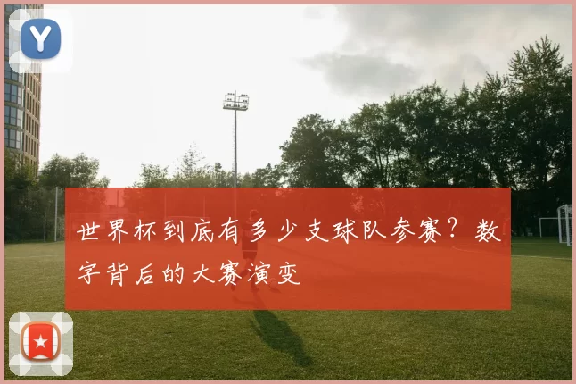 世界杯到底有多少支球队参赛？数字背后的大赛演变