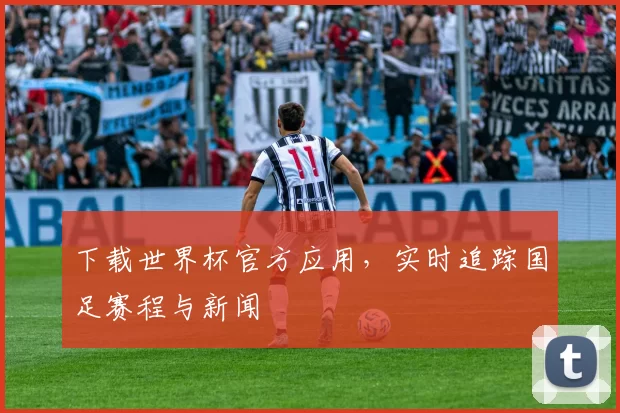 下载世界杯官方应用，实时追踪国足赛程与新闻