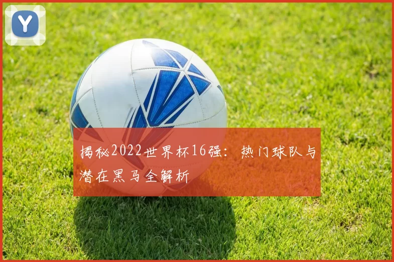 揭秘2022世界杯16强:热门球队与潜在黑马全解析