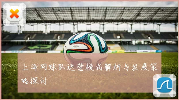 上海网球队运营模式解析与发展策略探讨