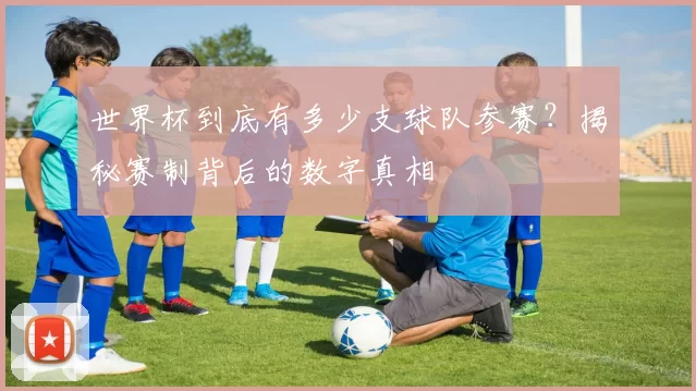 世界杯到底有多少支球队参赛？揭秘赛制背后的数字真相