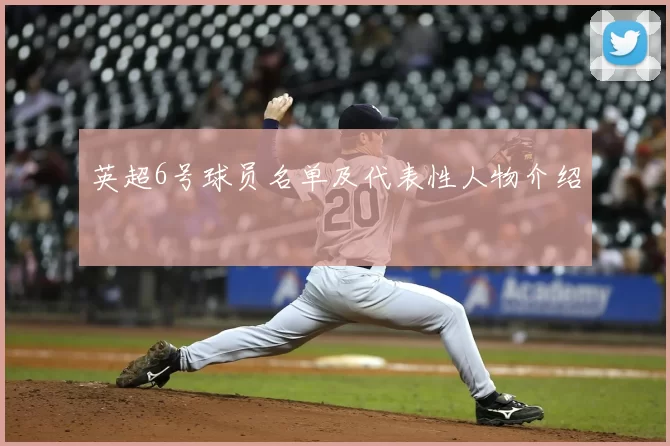 英超6号球员名单及代表性人物介绍