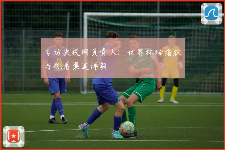 专访央视网负责人：世界杯转播权与观看渠道详解