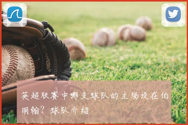 英超联赛中哪支球队的主场设在伯明翰？球队介绍