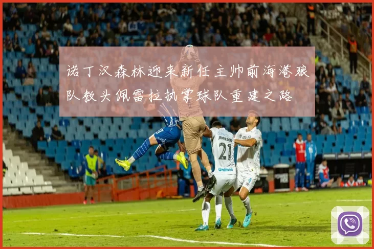 诺丁汉森林迎来新任主帅前海港狼队教头佩雷拉执掌球队重建之路