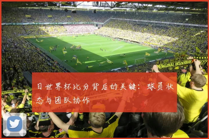 日世界杯比分背后的关键:球员状态与团队协作