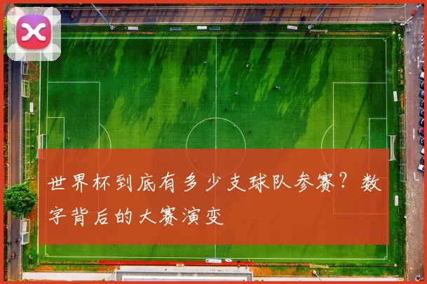 世界杯到底有多少支球队参赛？数字背后的大赛演变