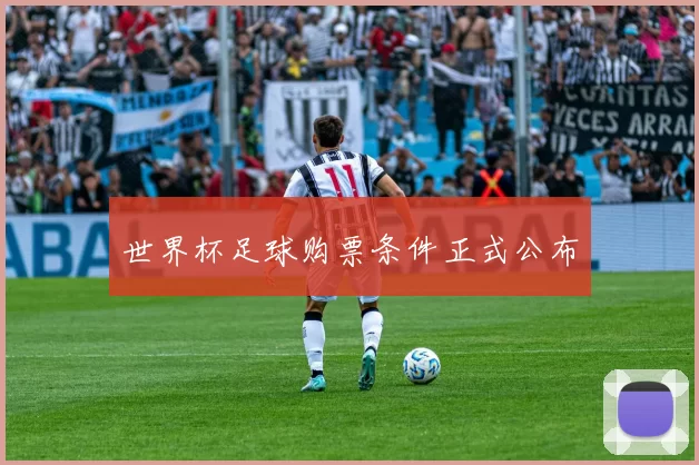 世界杯足球购票条件正式公布