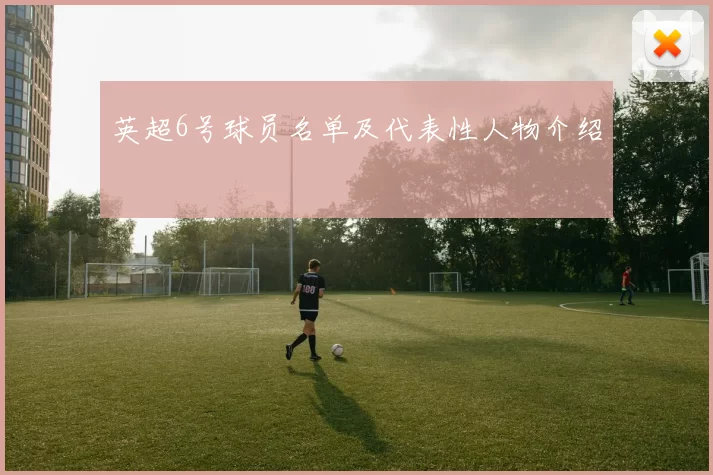 英超6号球员名单及代表性人物介绍