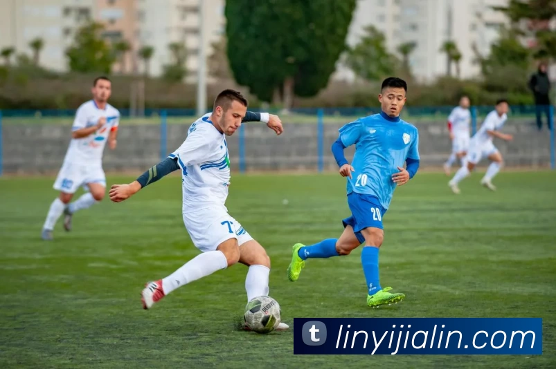 上海队CBA赛程密集期战术调整与伤病管理成焦点